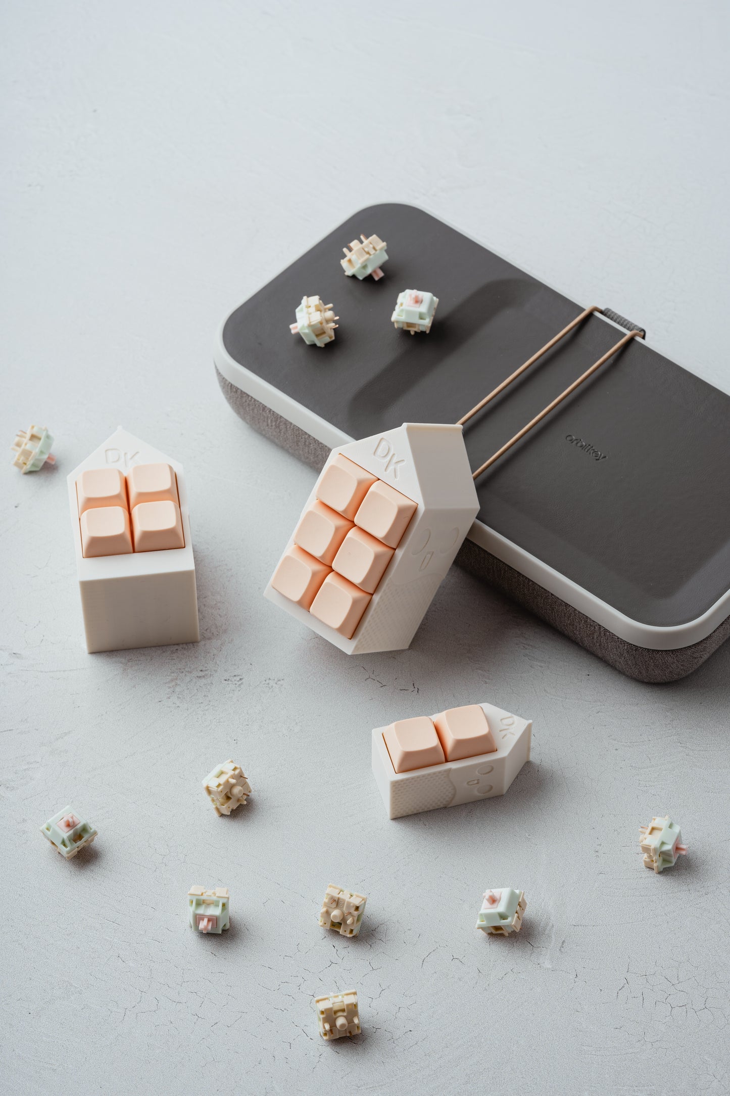 DK Carton Fidget Toy