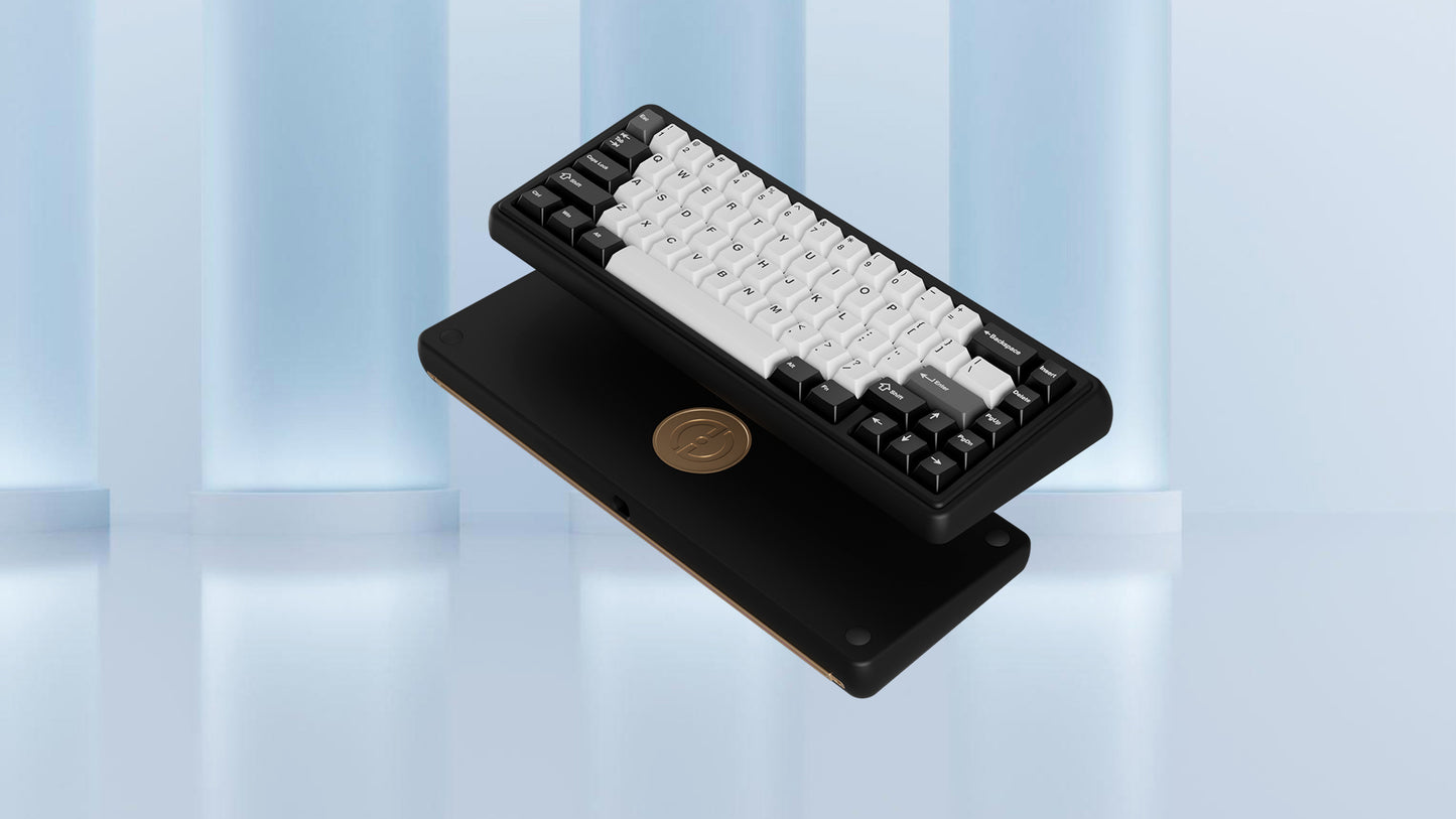 Chilkey ND65 CS HE Keyboard - Pre-built Kit