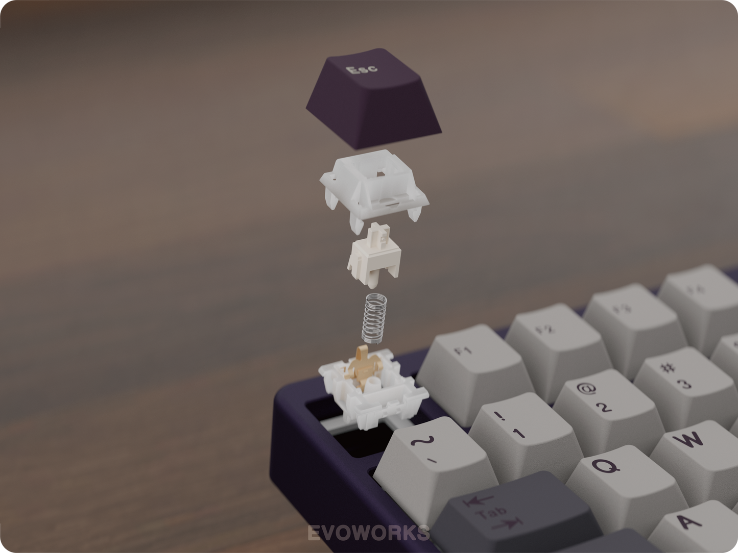 Evoworks Evo80 Keyboard