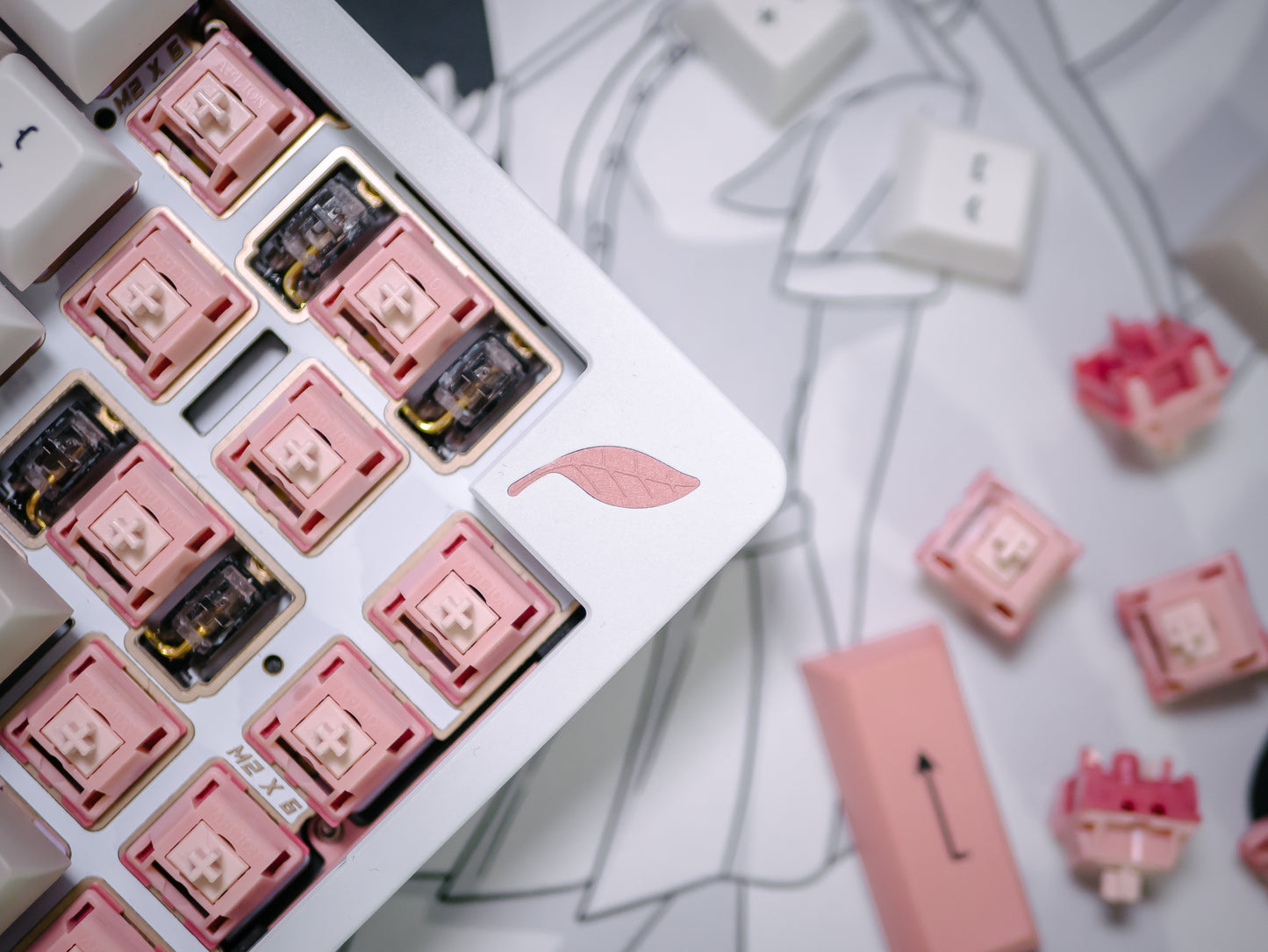 Blush Linear