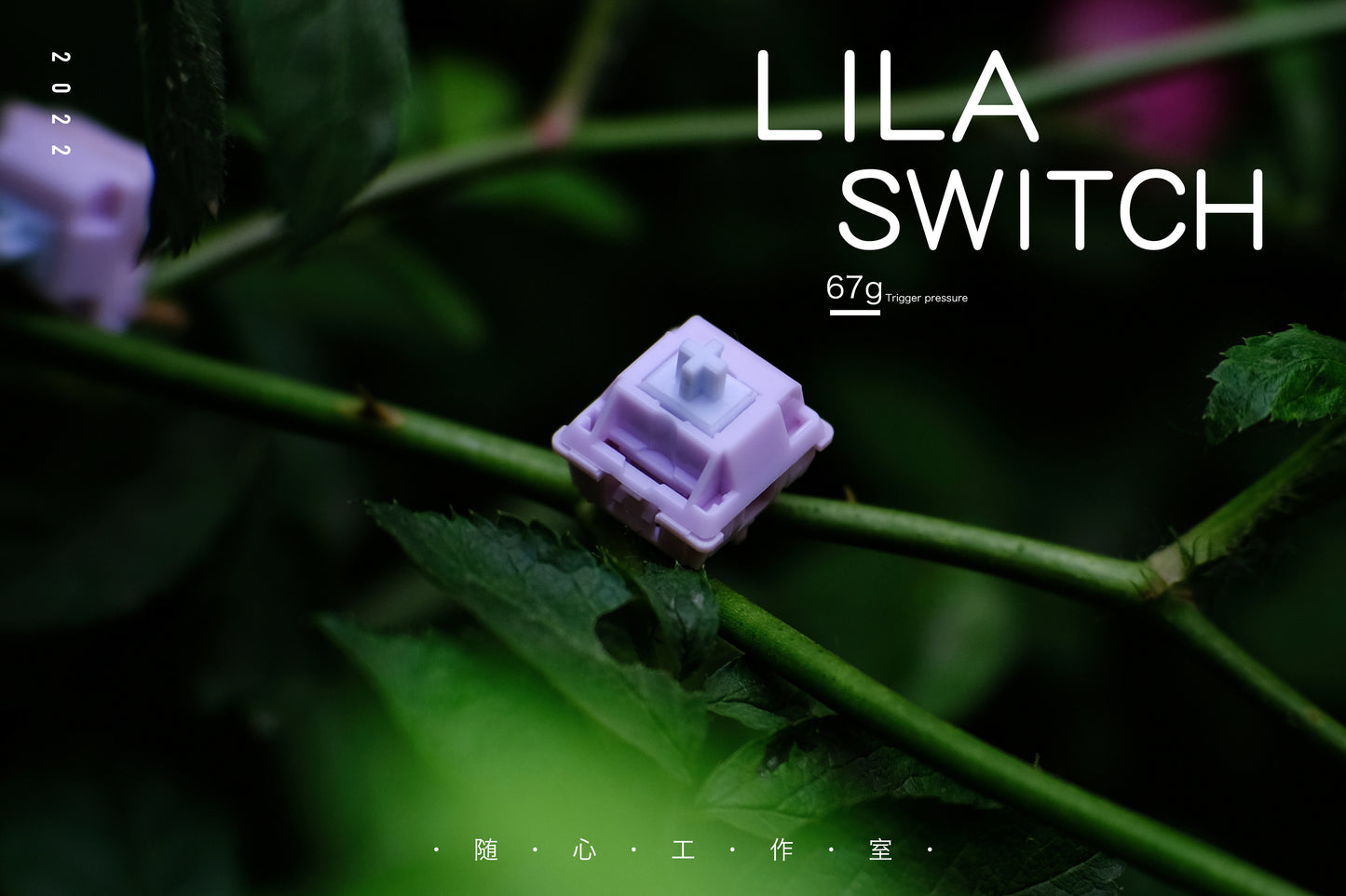 Lila Switch