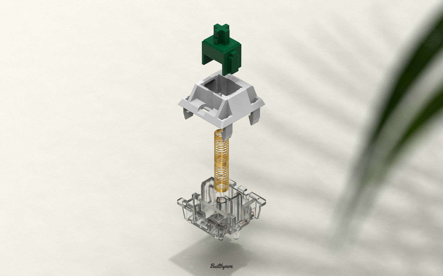 Graphic design of a breakdown of the components of the BBN Linear switch on a white background with stringy plant leaves on the right
