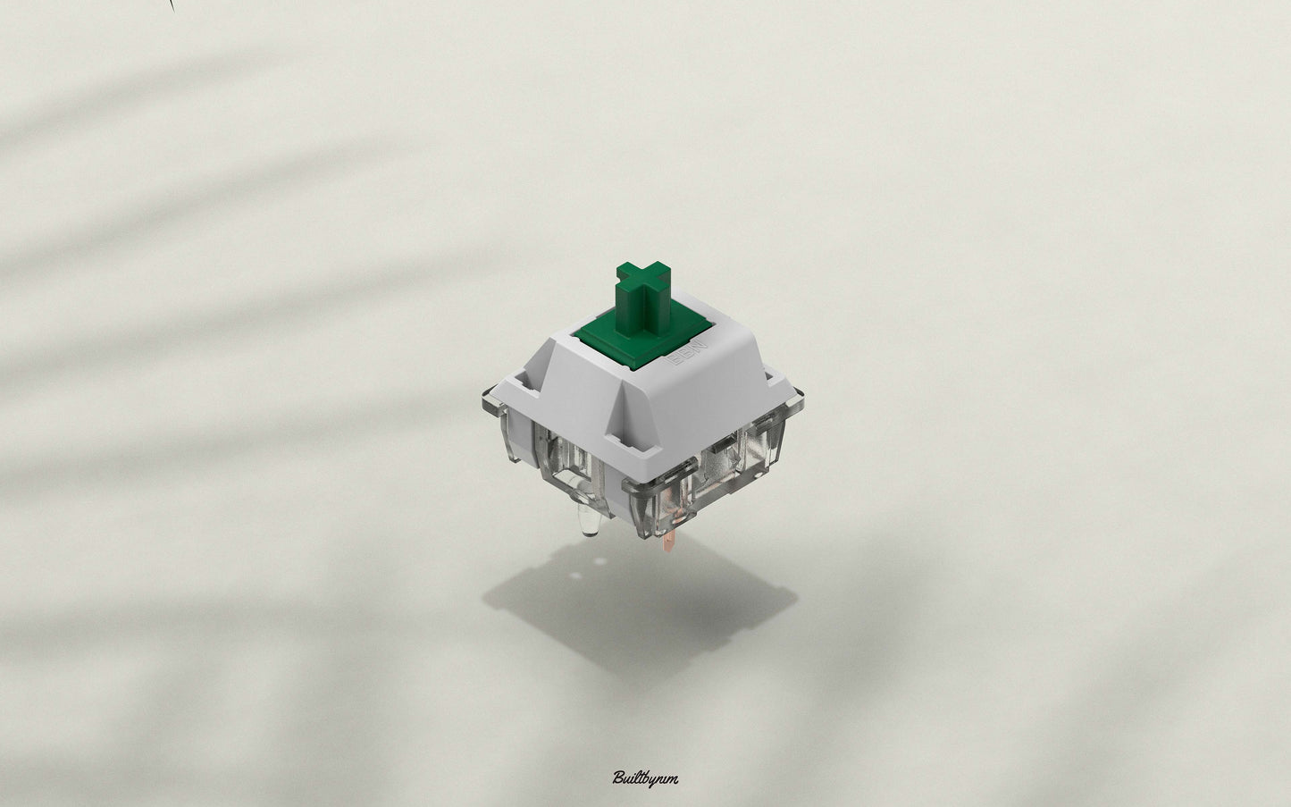 Graphic design of a BBN Linear switch on white background with stringy plant leaves on the left