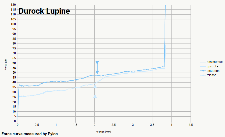 Durock Lupine