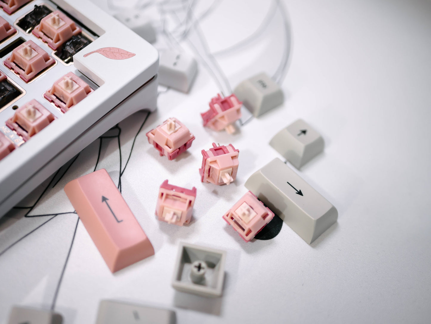 Blush Linear