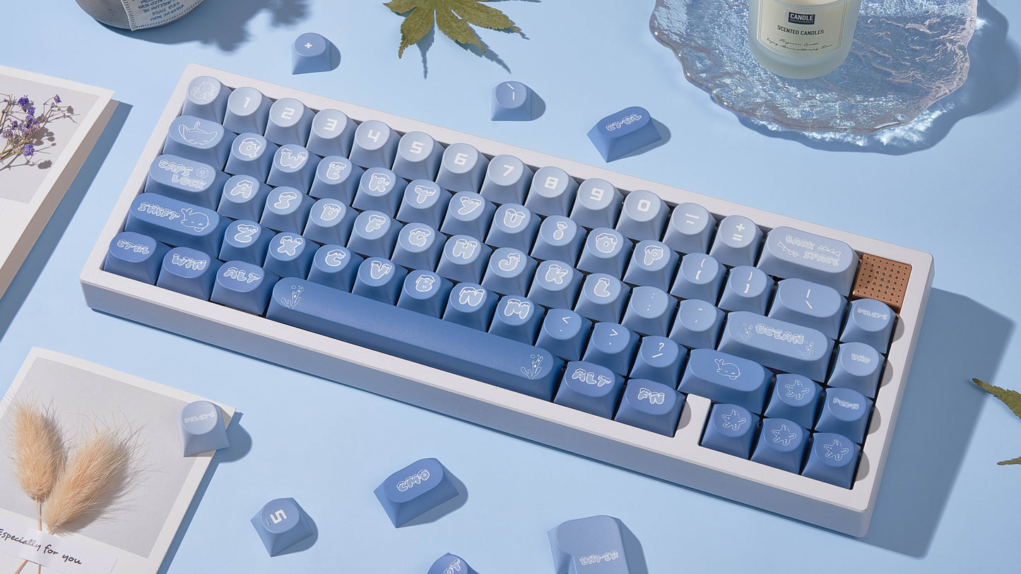 Chilkey Ocean Party Keycaps