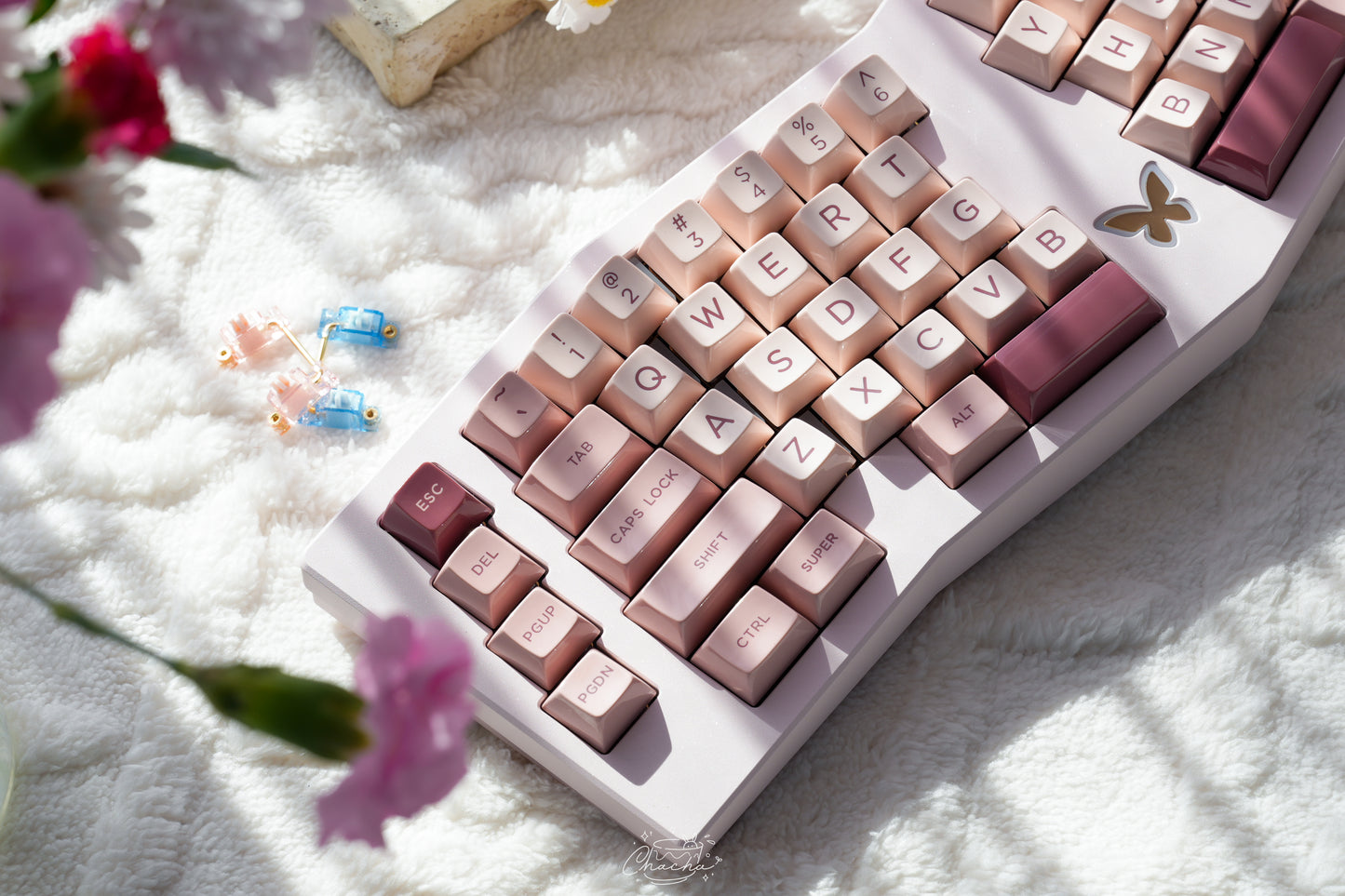 [Group-Buy] Vany Alice Keyboard by Whatever Studio