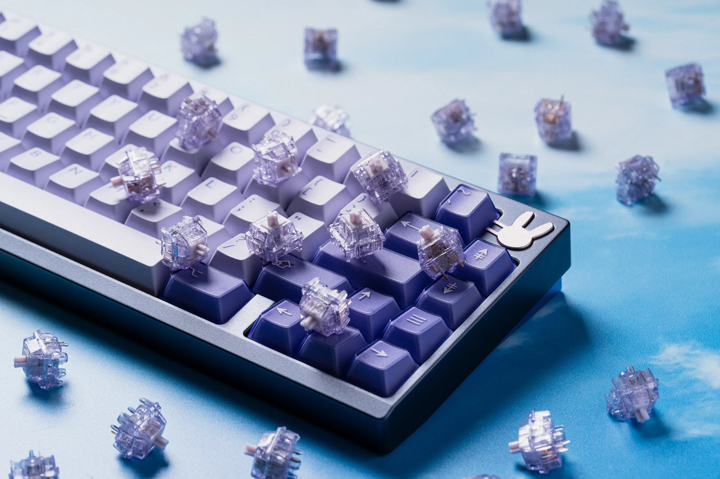 HMX Su Purple R2 Switches