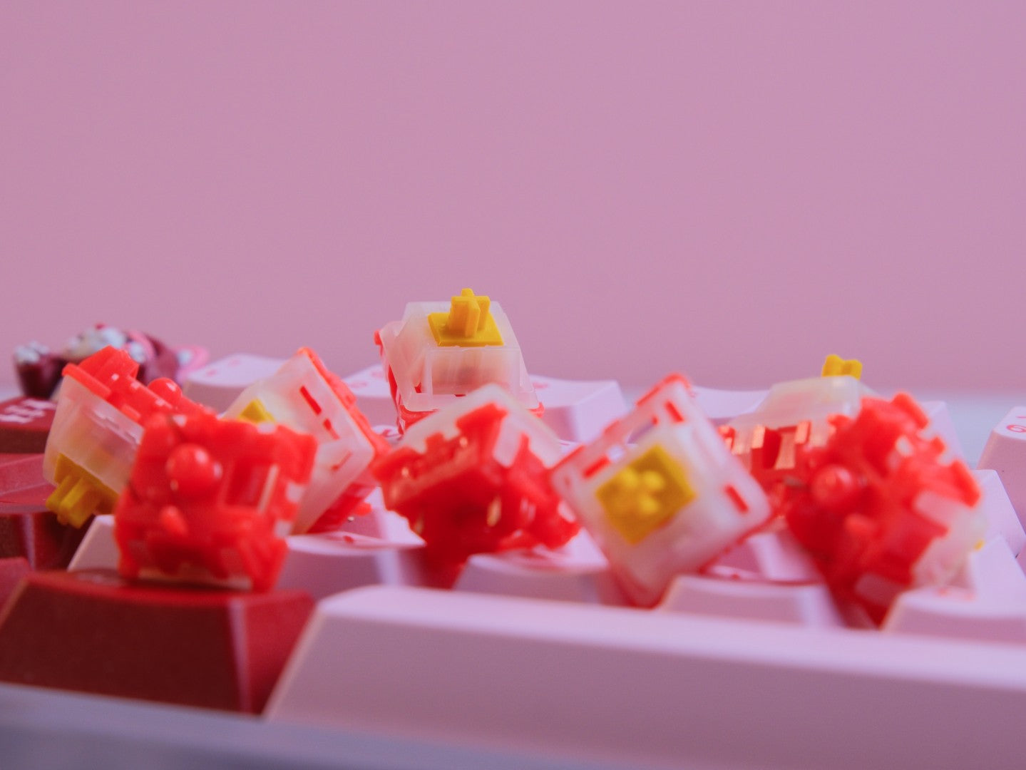 Icey Ice Mango Berry Tactile Switches