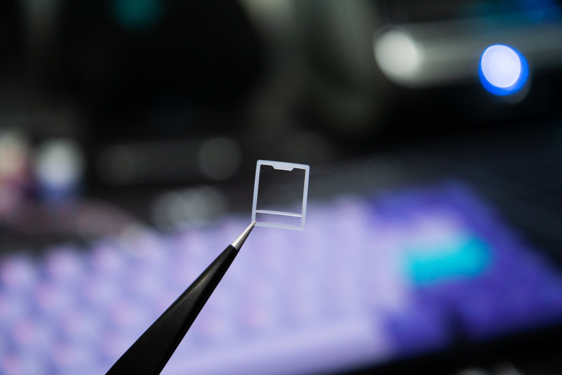 Close-up shot of a single silicone blend mechanical keyboard switch film being held by a tweezer